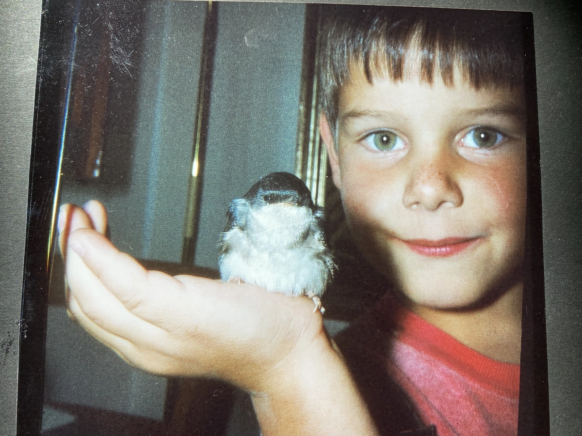 Das Internet der Tiere 21