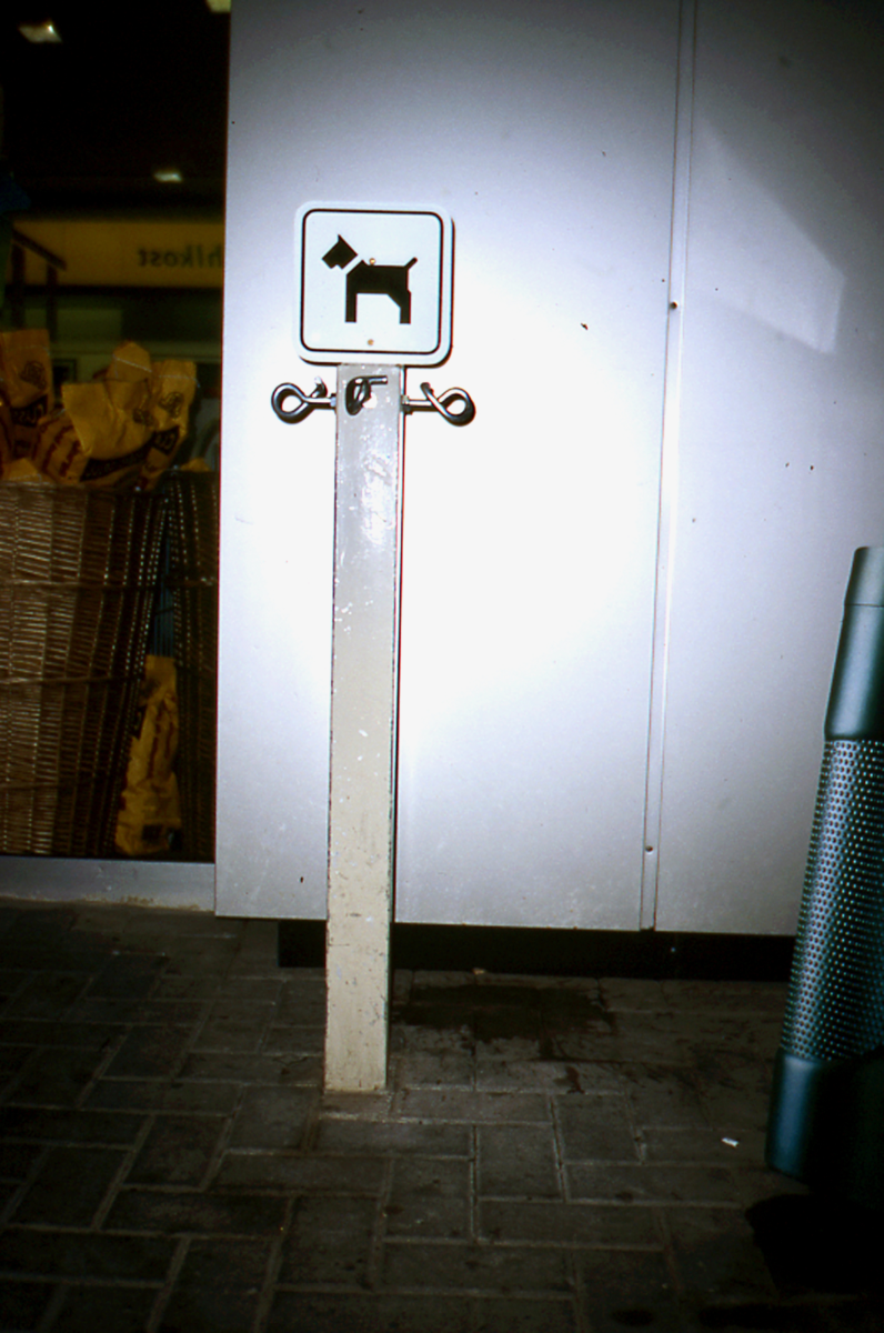 Ein schmaler, ungewöhnlicher Poller mit Haken und einem Schild für Hundeparkplätze. Dieses „Hundepoller-Unikat“ bietet kreativen Witz in der Hausmeisterkunst und ist ein perfektes Beispiel für die humorvolle Verpollerung des öffentlichen Raums.