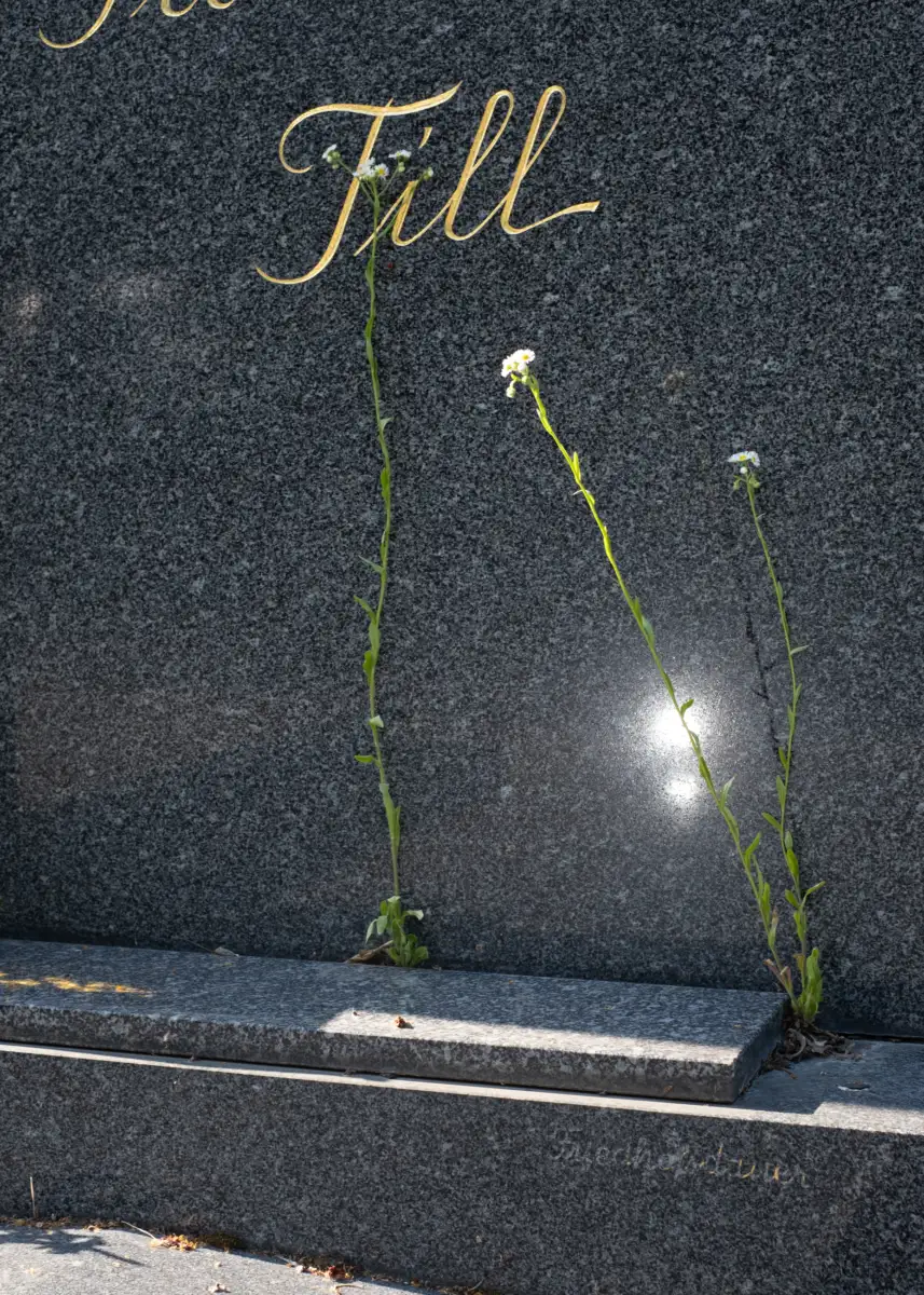 Till – Angewandte Fotografie 2025