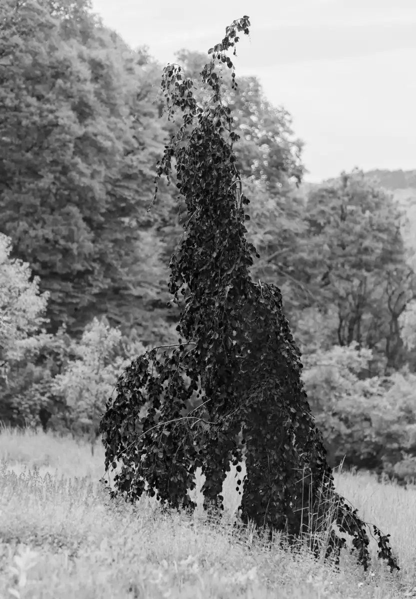 Till – Angewandte Fotografie 2025