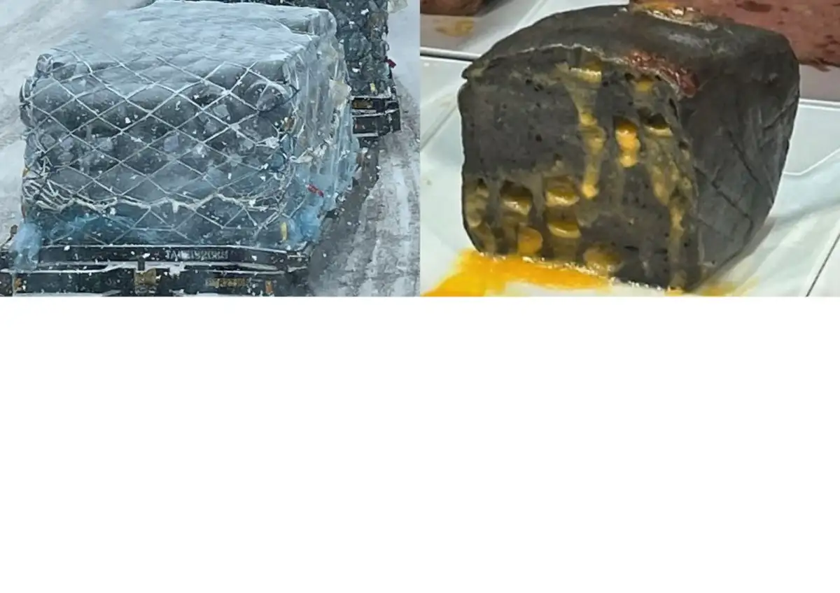 Mother of forms – Angewandte Fotografie 2025