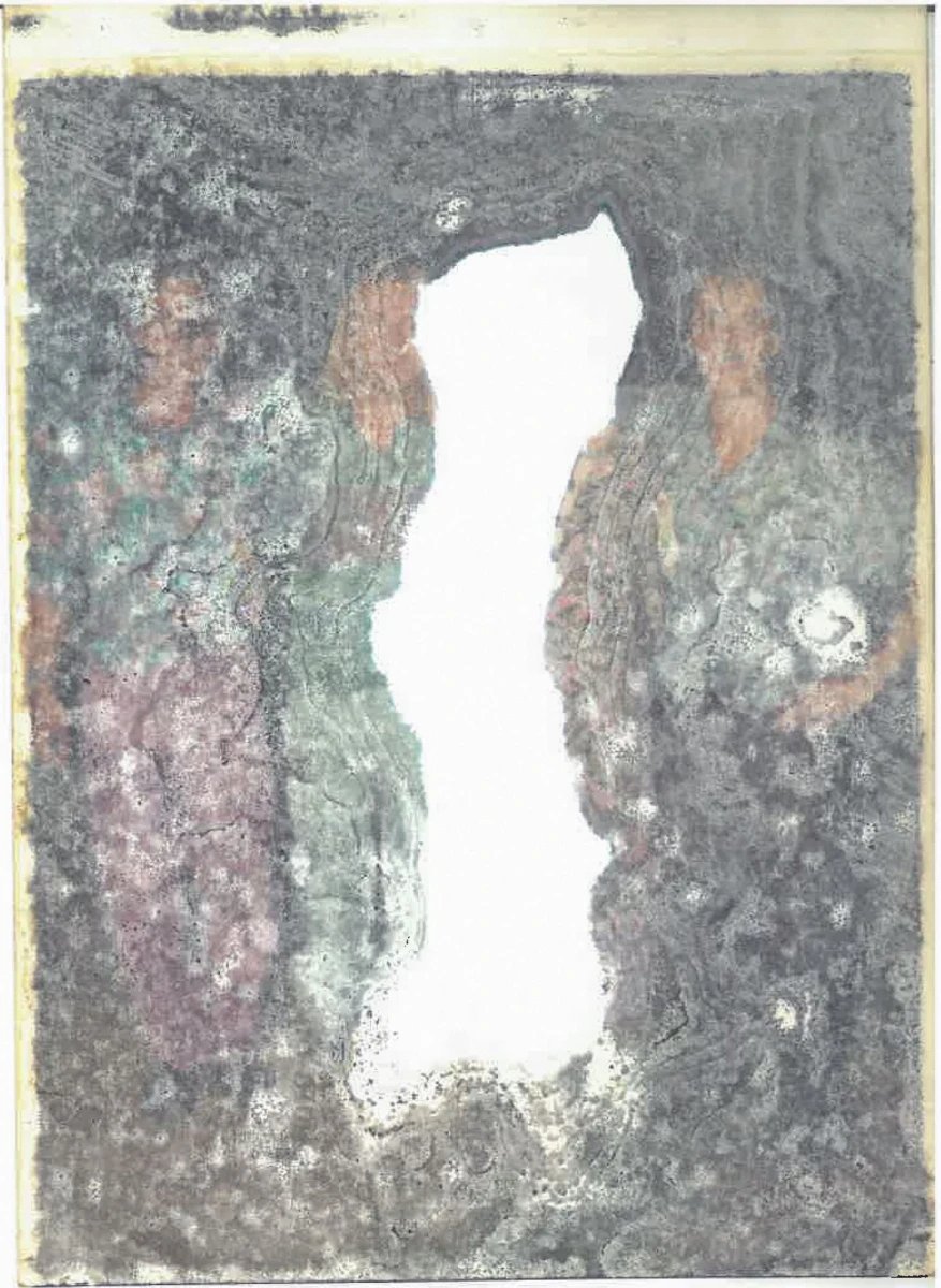 M steht für Merlinka – Angewandte Fotografie 2025