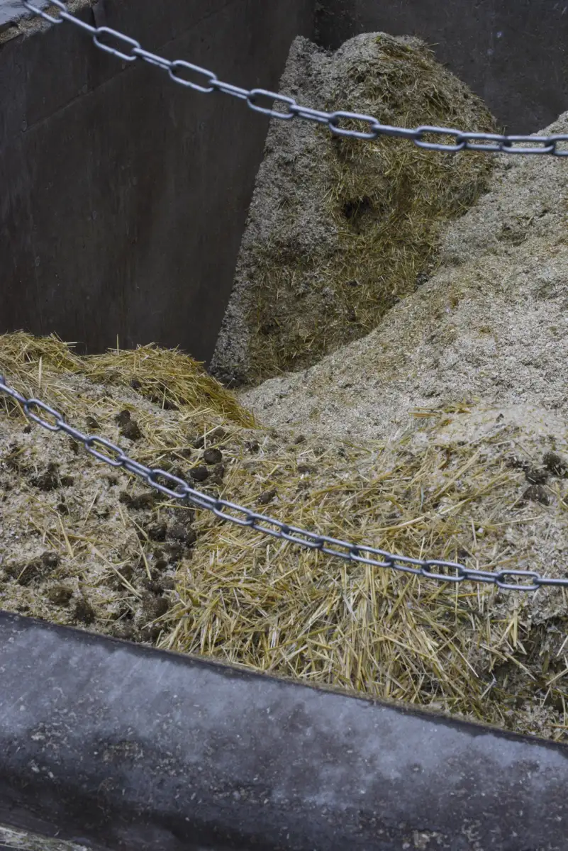 Ausgemistetes Heu