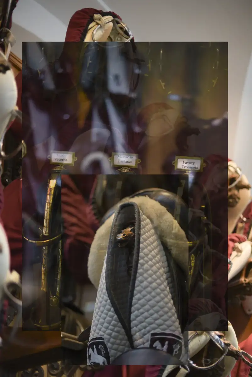 Saddles of the Spanish Riding School