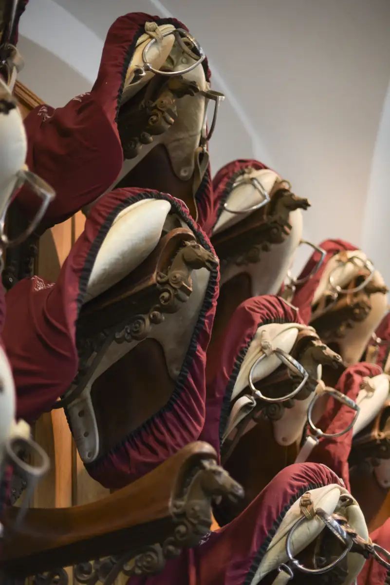 Saddles of the Spanish Riding School