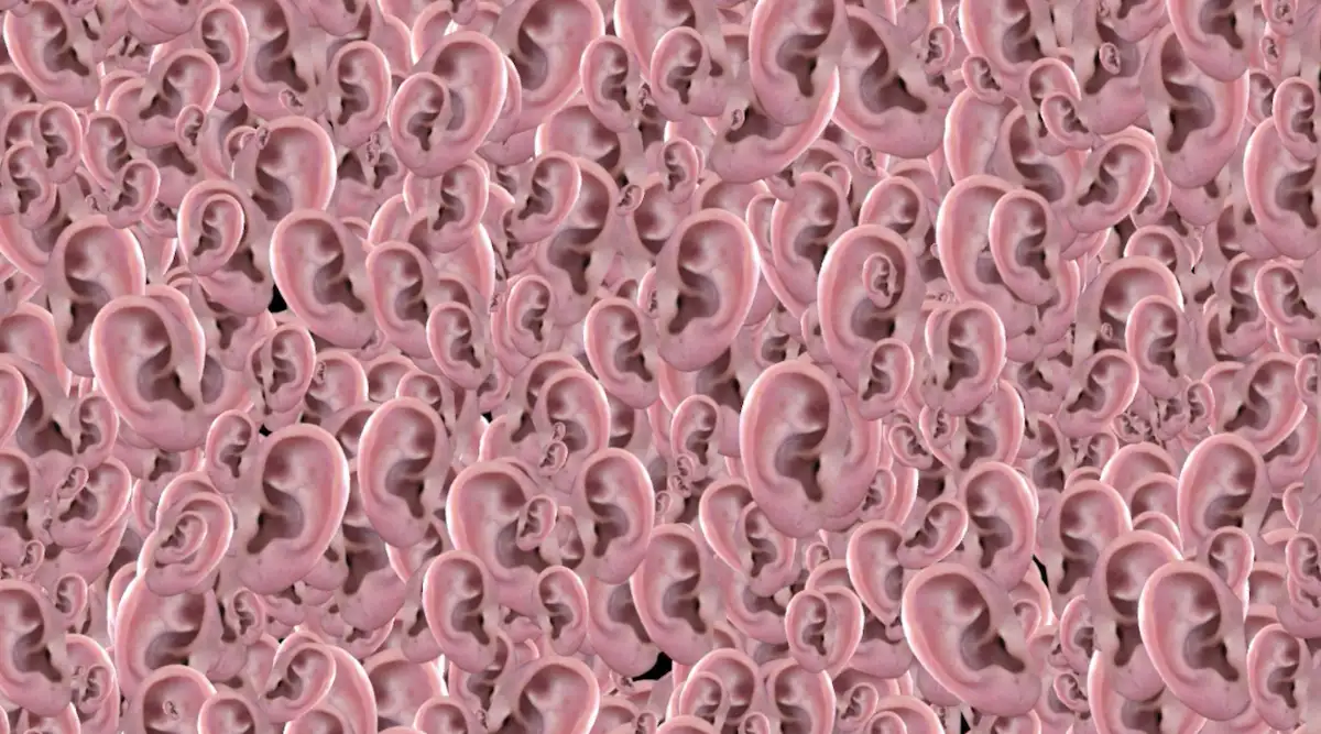 „The New Organ“, Tega Brain & Sam Lavigne (2018)