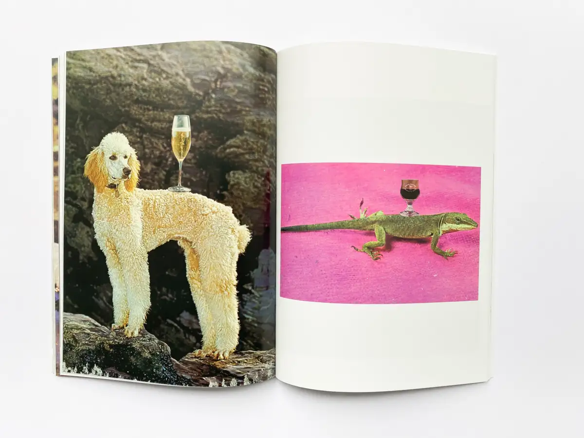 "You run around town like a fool and you think that it's groovy 2" von Chantal Rens