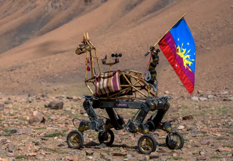 Die Roboter-Revoluzzerin