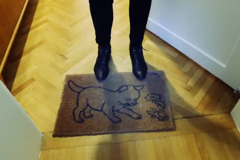 all with cat
