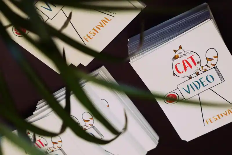 Program booklet/ Cat Video Festival Vienna