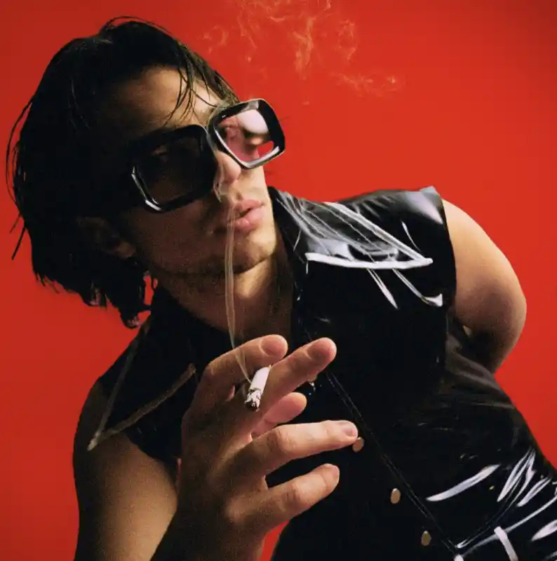 Albumcover "Wiener Schickeria"