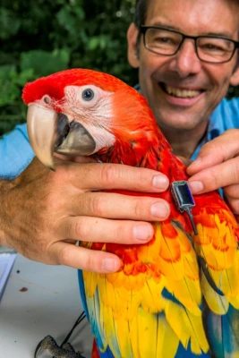 Das Internet der Tiere 16